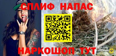 МДПВ Пенза