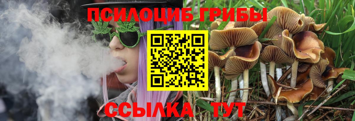 Галлюциногенные грибы ЛСД Нововоронеж